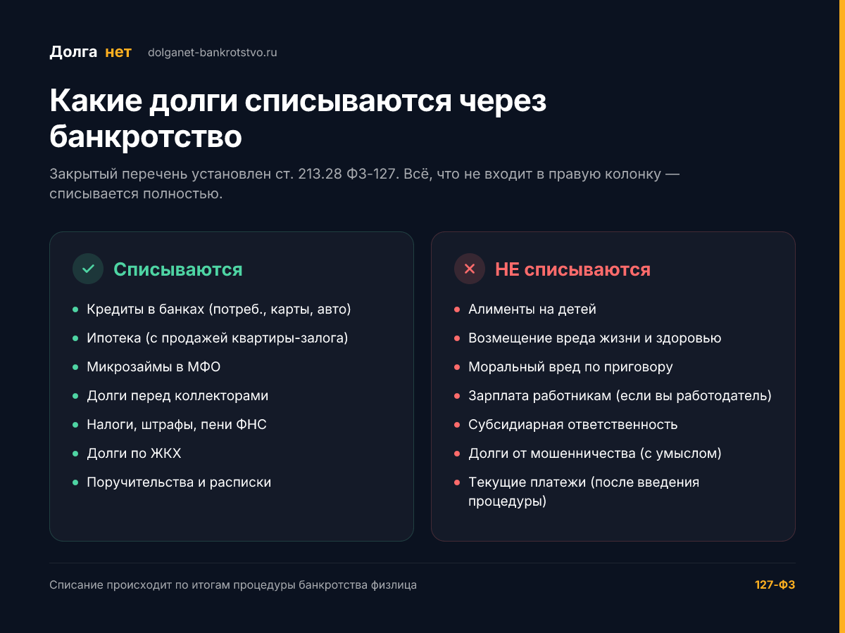 Инфографика: какие долги списываются через банкротство, а какие нет — по статье 213.28 ФЗ-127